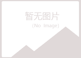 鞍山立山白山化学有限公司